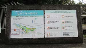 クリックして拡大